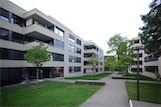 Am-Katzenbach, Zürich, CH - Zita Cotti