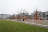 E.-Widmann-Weg, Schulhaus Birch, Zürich, CH - Peter Maerkli, Schweingruber-Zulauf 