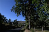 Dienne, Cantal, F