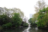 Hofgarten, Düsseldorf, D 