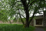 Raketenstation Hombroich, Neuss, D - Alvaro Siza