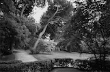 Parque el Capricho, Madrid, ES