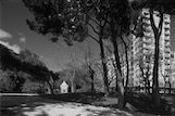 Paseo del Pintor Rosales, Madrid, ES