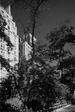 Carl-Schurz-Park, East Avenue, New York, USA