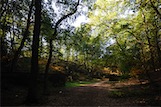 Kröller Müller Park, Otterlo, NL - Richard Serra