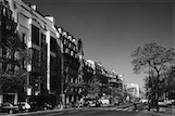 Boulevard Raspail, Paris, F - Bruno Elkouken