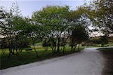 Parque de la Cidade, Porto, PT 