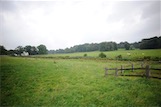 Sonsbeek Park, Arnhem, NL