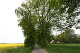 Ornum, Schlei, D 